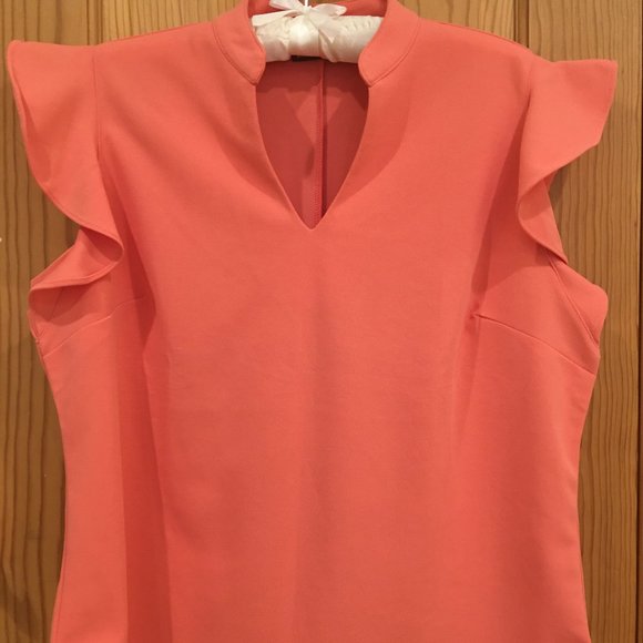 Flutter Sleeve Top with Shorts NWOT. - Picture 1 of 13